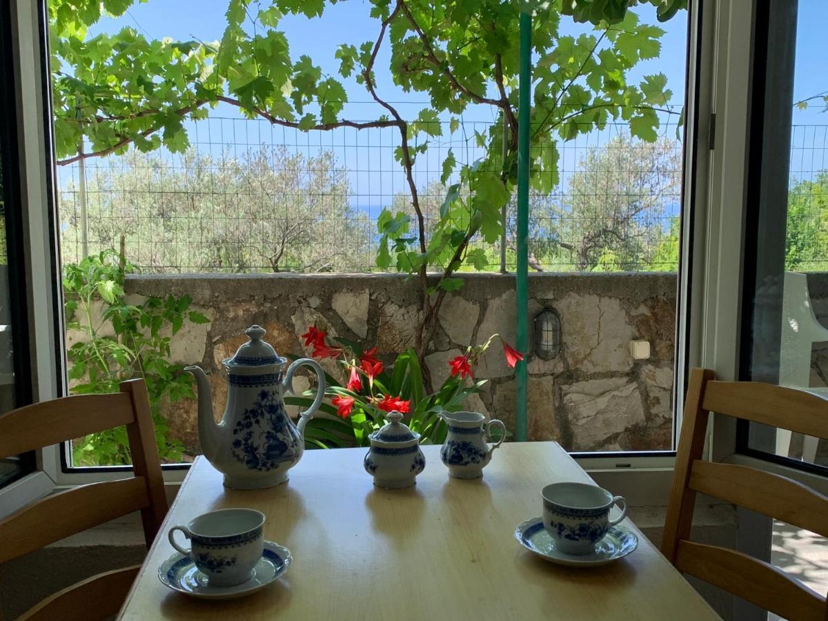 Apartments Mirian Petrovac エクステリア 写真