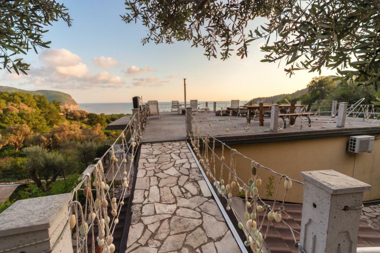Apartments Mirian Petrovac エクステリア 写真